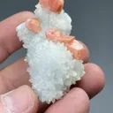 Rhodochrosite with Quartz - image 2