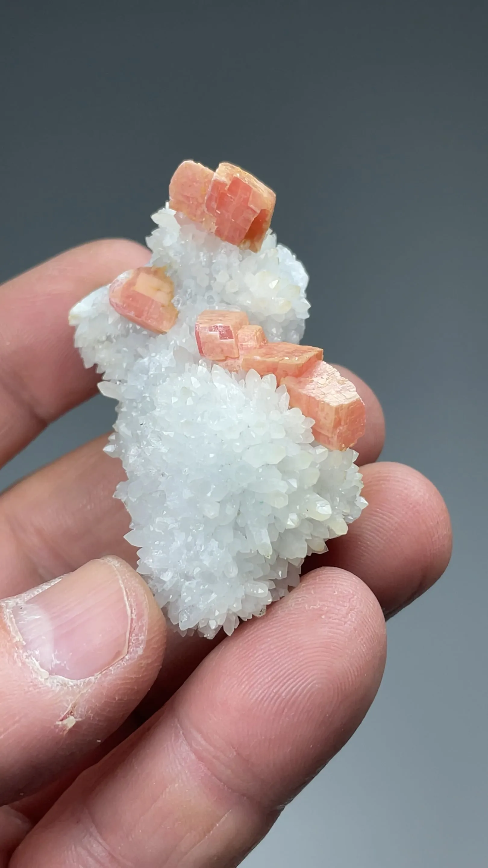 Rhodochrosite with Quartz - image 2