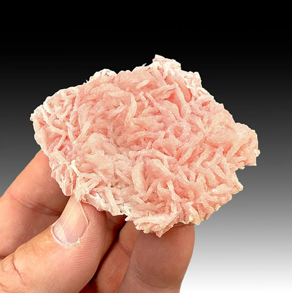 Rhodochrosite with Quartz (562) image