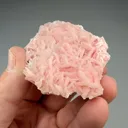 Rhodochrosite with Quartz (562) - image 2