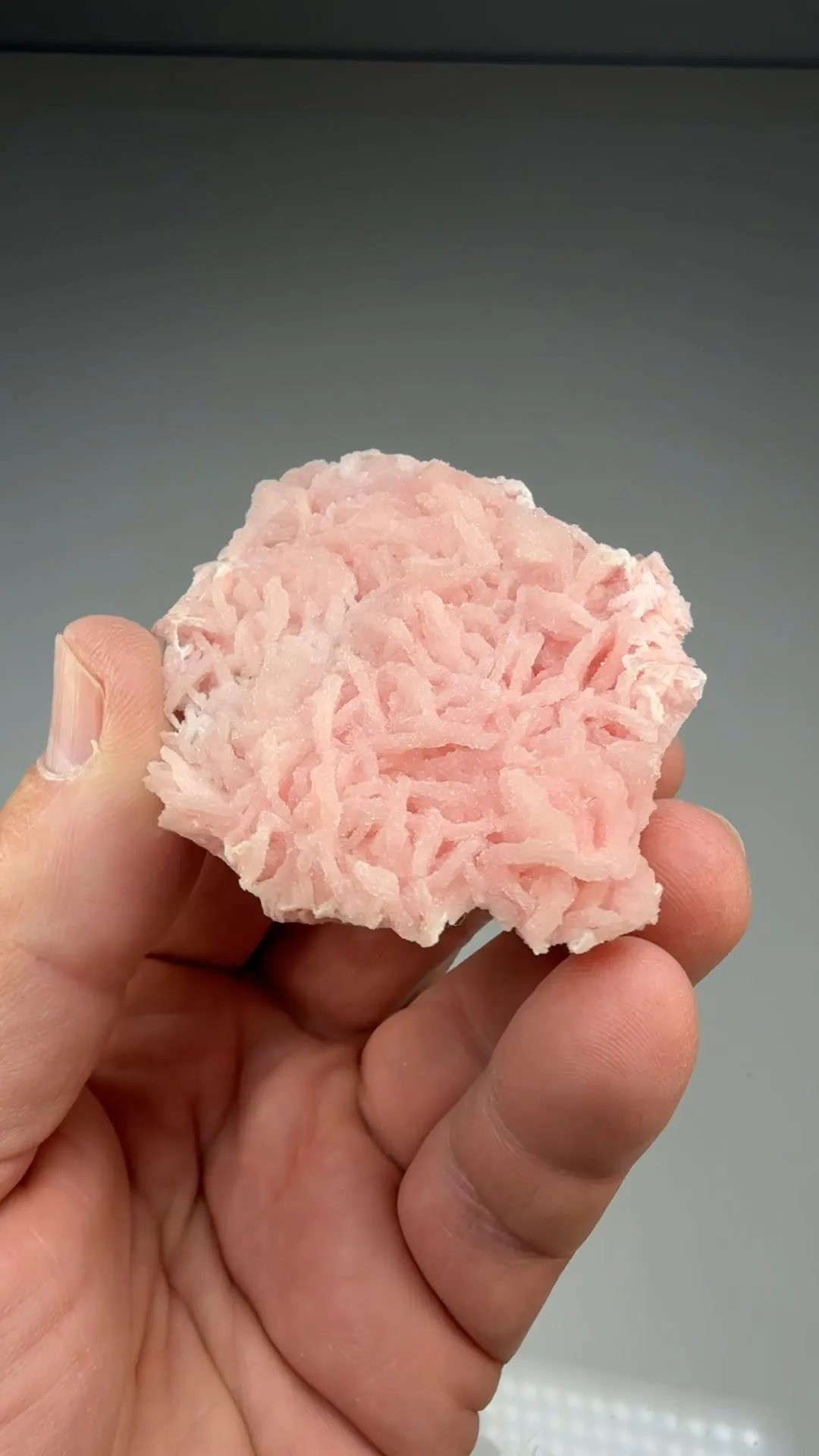 Rhodochrosite with Quartz (562) - image 2