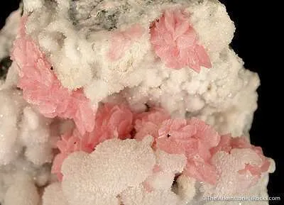 Rhodochrosite With Quartz - image 3