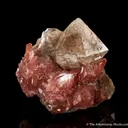 Rhodochrosite with Quartz - image 2