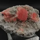Rhodochrosite with Quartz - image 2