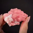 Rhodochrosite with Quartz and Baryte - image 1