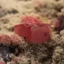 Rhodochrosite with Quartz and Fluorite - image 3