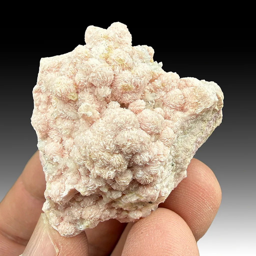 Rhodochrosite with Quartz image