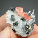 Rhodochrosite with Quartz - image 2