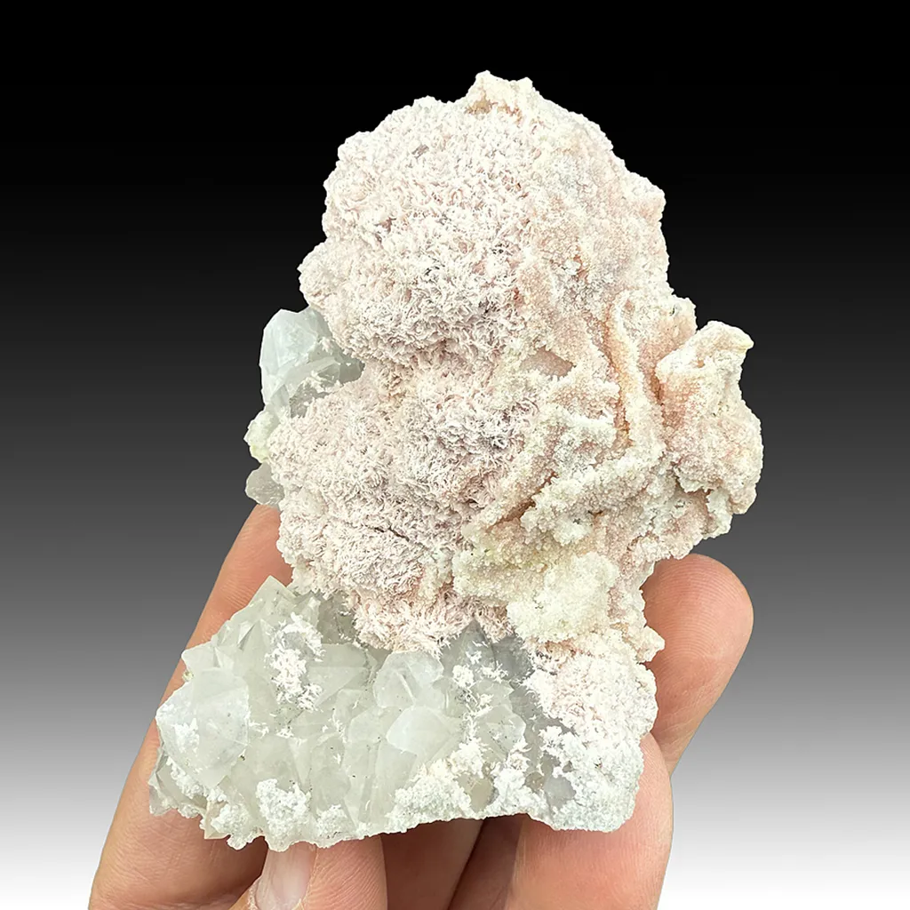 Rhodochrosite with Quartz image