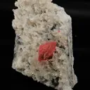 Rhodochrosite with Quartz - image 2