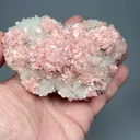 Rhodochrosite with Quartz - image 2