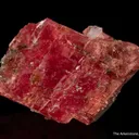 Rhodochrosite with Quartz - image 6