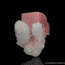 Rhodochrosite with Quartz - image 2