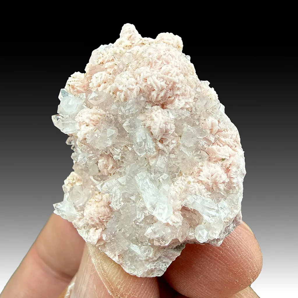 Rhodochrosite with Quartz image