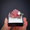 Rhodochrosite with Quartz ps. Fluorite - image 2