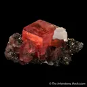 Rhodochrosite with Quartz ps. Fluorite - image 4