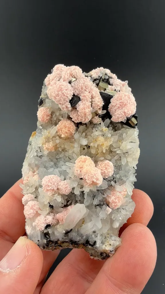 Rhodochrosite with Quartz, Sphalerite, Pyrite image