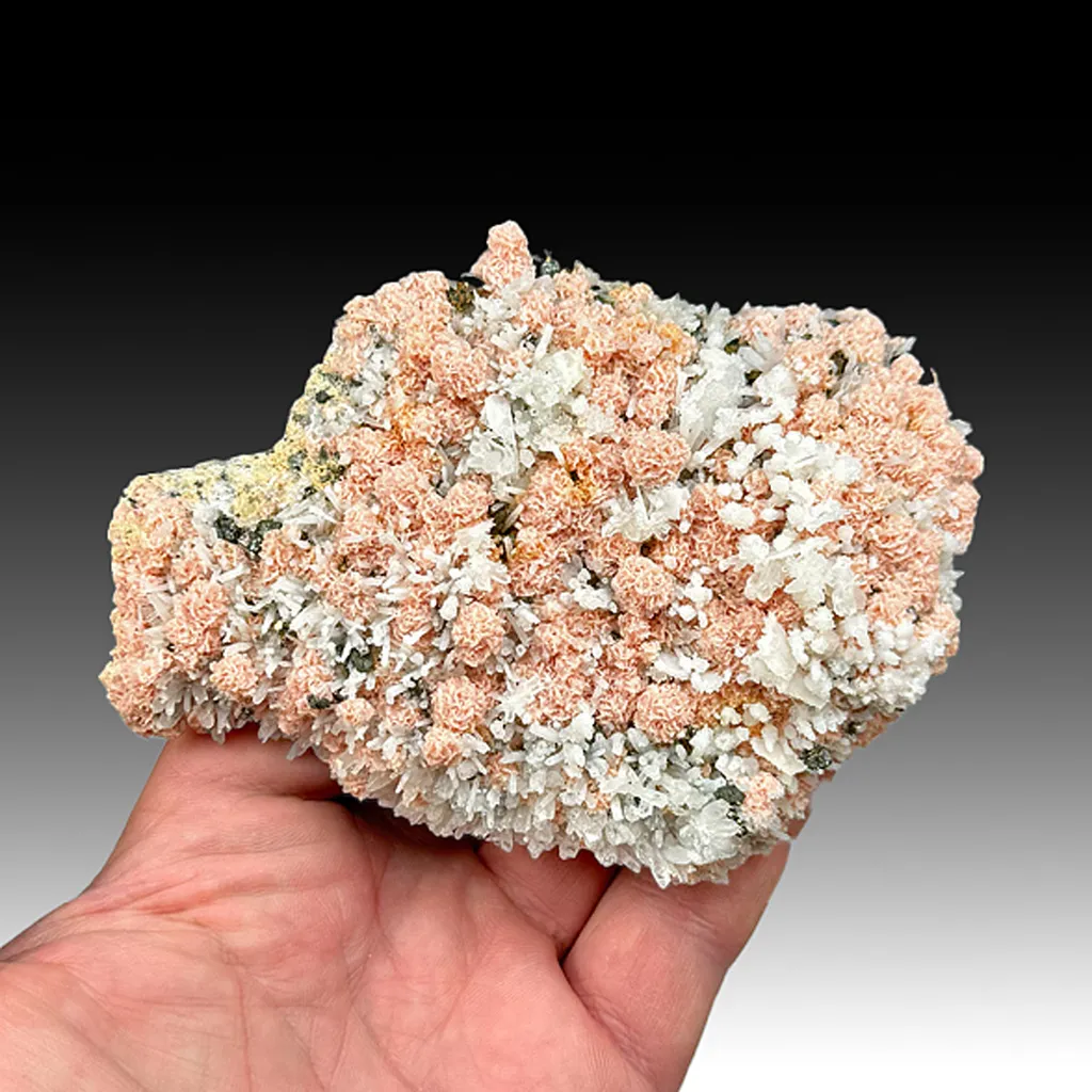 Rhodochrosite with Quartz, Tetrahedrite, Pyrite (398) image
