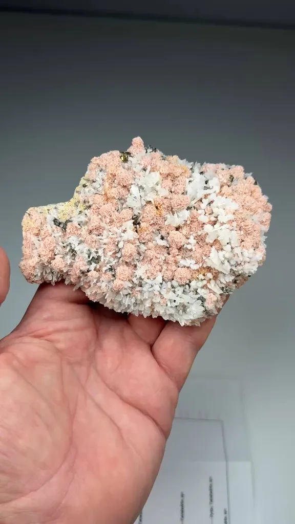 Rhodochrosite with Quartz, Tetrahedrite, Pyrite (398) - image 2
