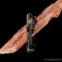Rhodochrosite with Schorl - image 3