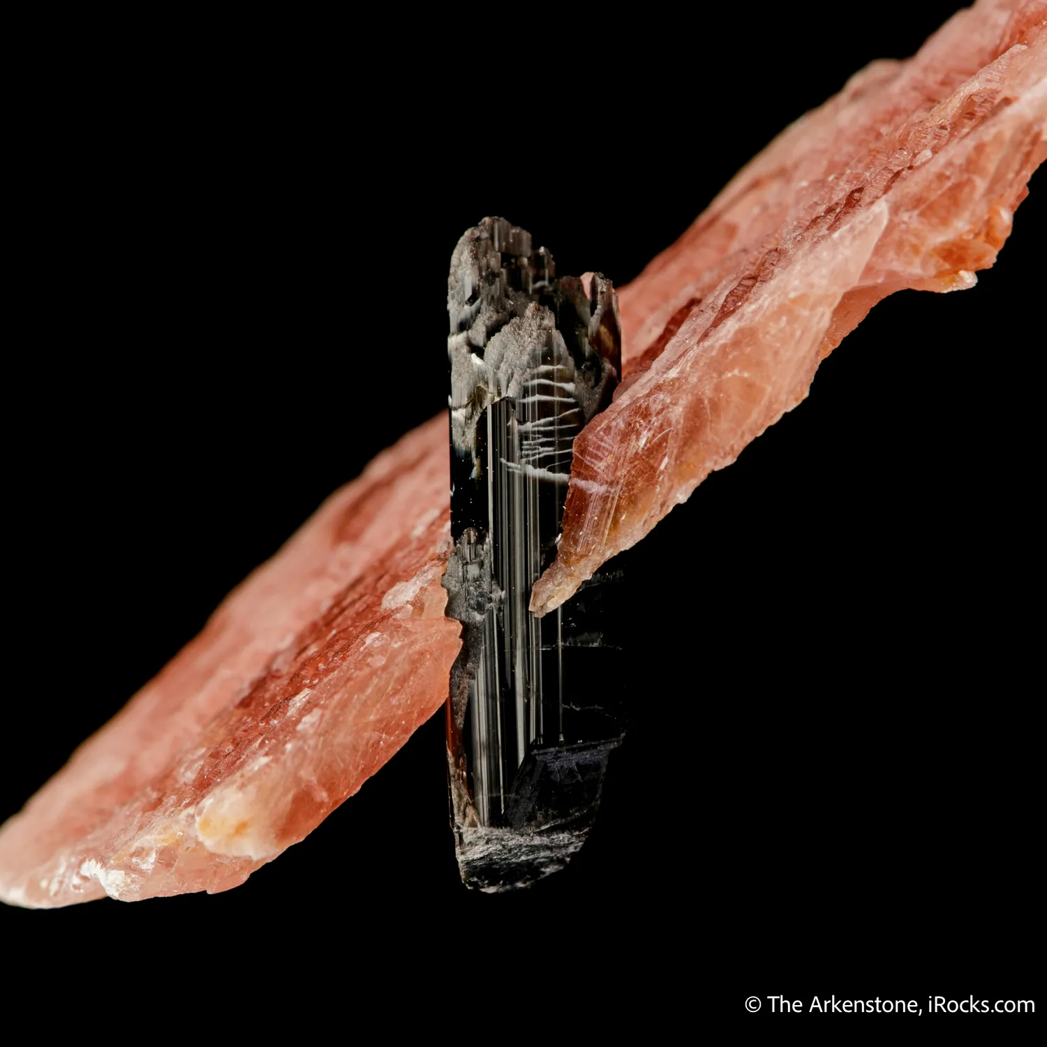 Rhodochrosite with Schorl - image 3