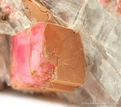 Rhodochrosite With Selenite - image 2