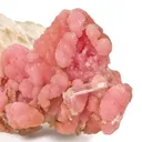 Rhodochrosite With Selenite - image 2