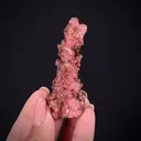 Rhodochrosite with Shigaite - image 2