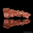 Rhodochrosite with Shigaite - image 1