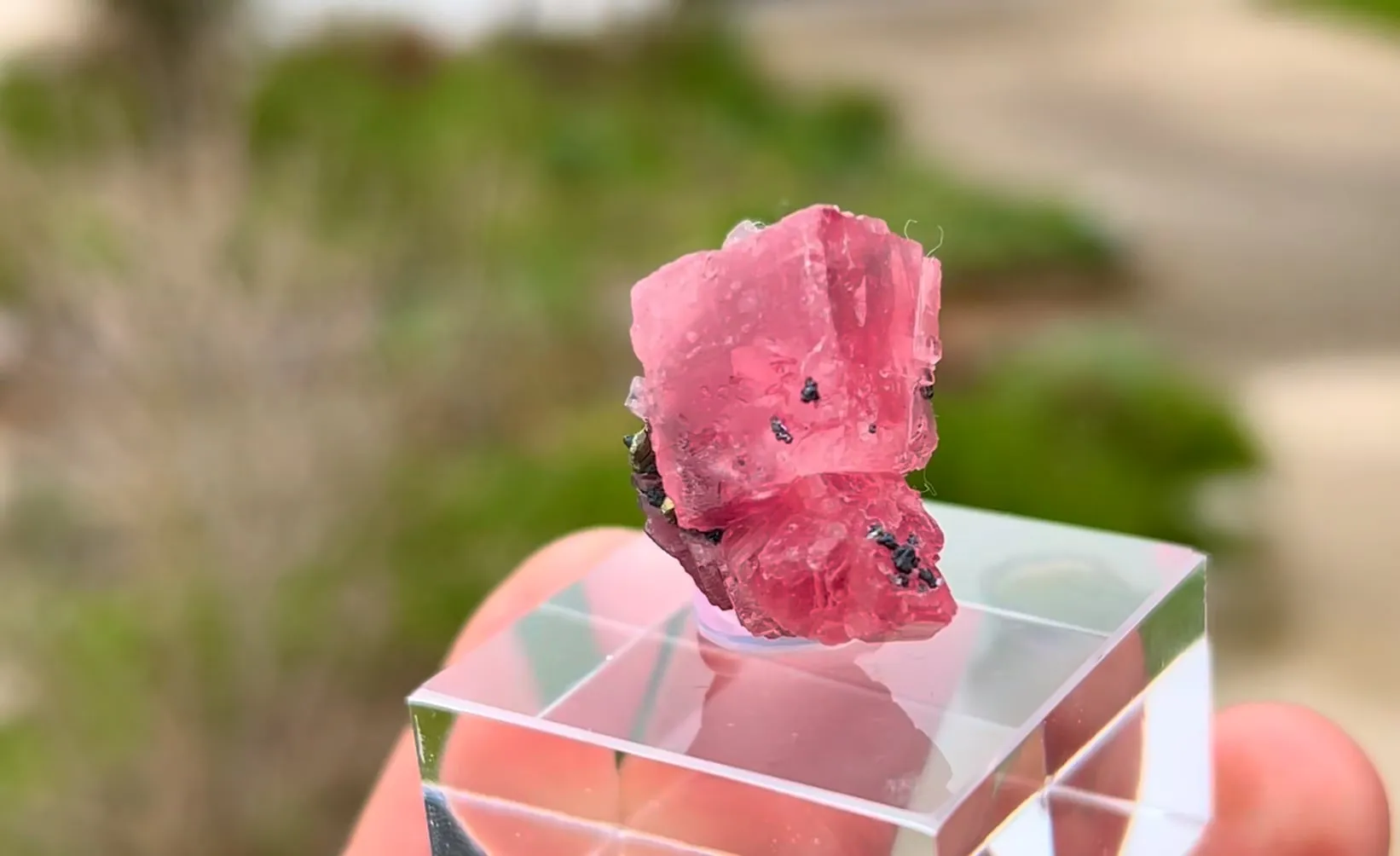Rhodochrosite with Sphalerite and Pyrite - image 7