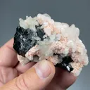 Rhodochrosite with Sphalerite, Quartz - image 2