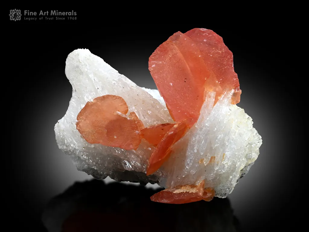 Rhodochrosite with Tourmaline and Albite image