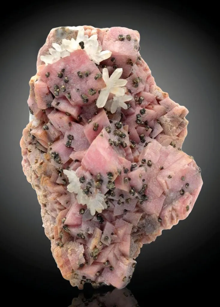 Rhodocrosite, Quartz, Pyrite image