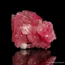 Rhodonite (1991 pocket) - image 6