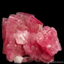 Rhodonite (1991 pocket) - image 1