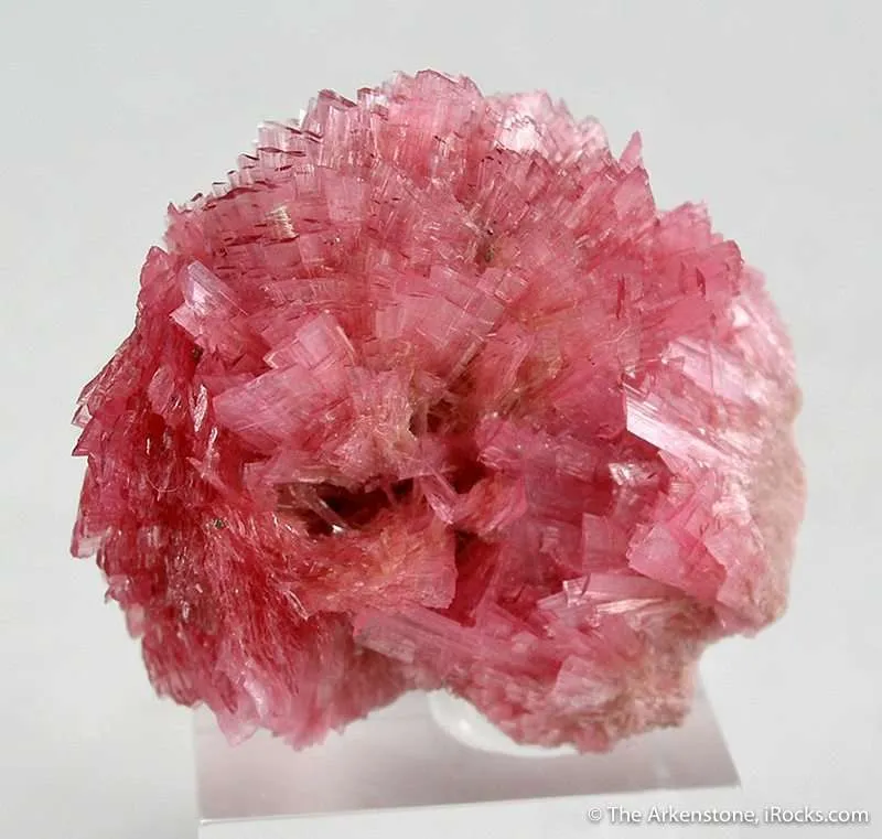 Rhodonite image