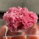 Rhodonite - image 5