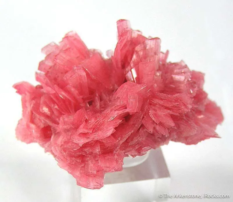 Rhodonite image