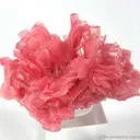 Rhodonite - image 1