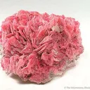 Rhodonite - image 1