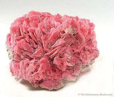 Rhodonite - image 1