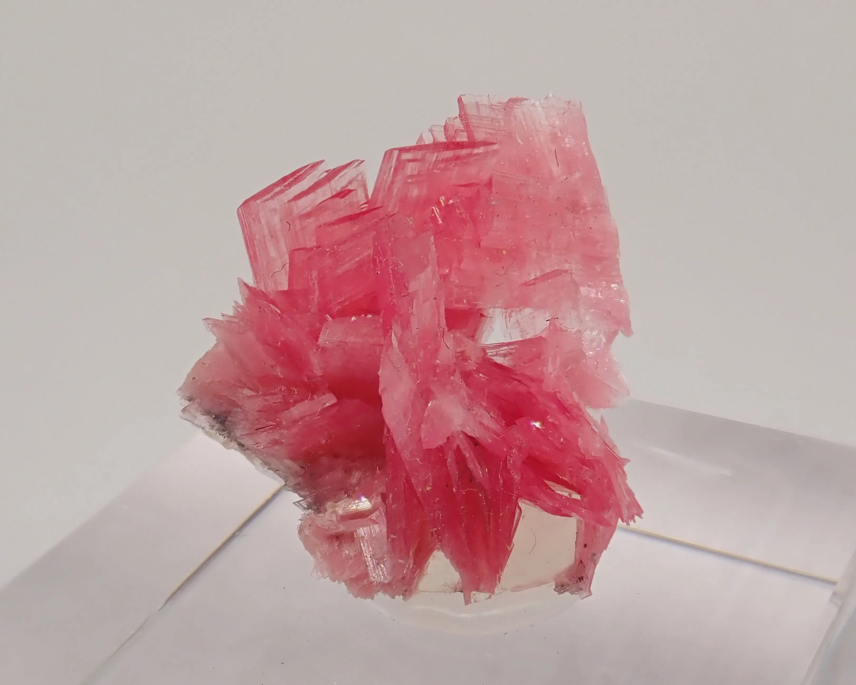 Rhodonite - image 1