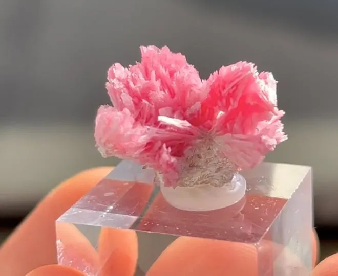 Rhodonite - image 7