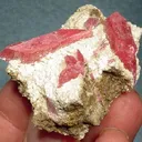 Rhodonite - image 2