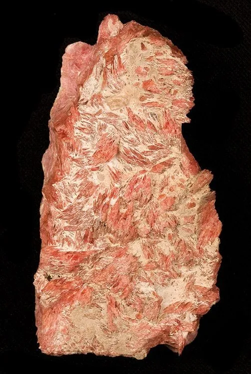 Rhodonite image