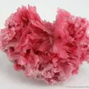 Rhodonite - image 1
