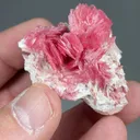 Rhodonite - image 2