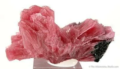 Rhodonite - image 3