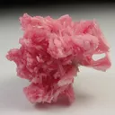 Rhodonite - image 2