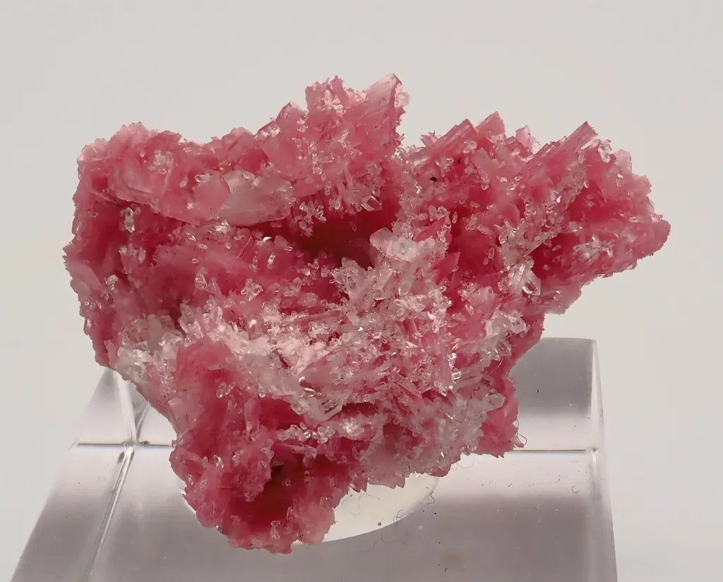 Rhodonite image
